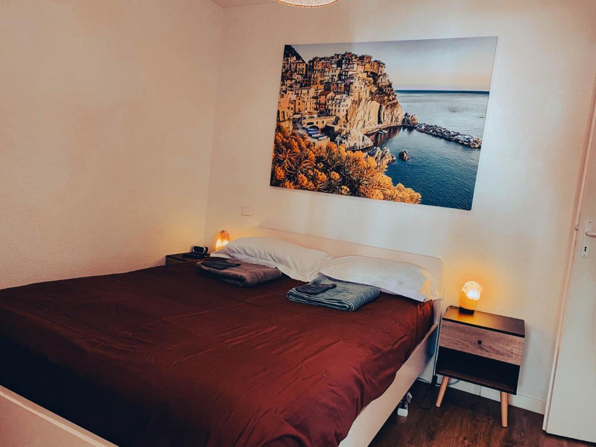 L'Evidence, Residence Calme Au Rdc Avec Parking トゥールーズ エクステリア 写真