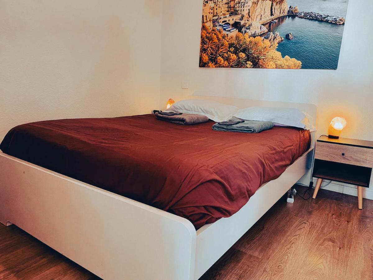L'Evidence, Residence Calme Au Rdc Avec Parking トゥールーズ エクステリア 写真
